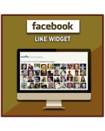 Facebook Like Widget